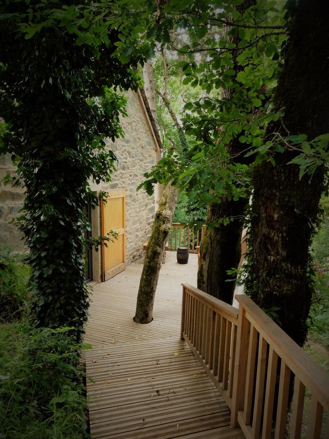 Domaine Des Marequiers Chambre Pimprenelle Saint-Germain-du-Teil Exterior foto