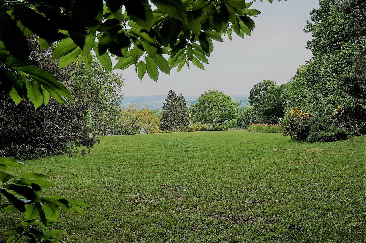 Domaine Des Marequiers Chambre Pimprenelle Saint-Germain-du-Teil Exterior foto
